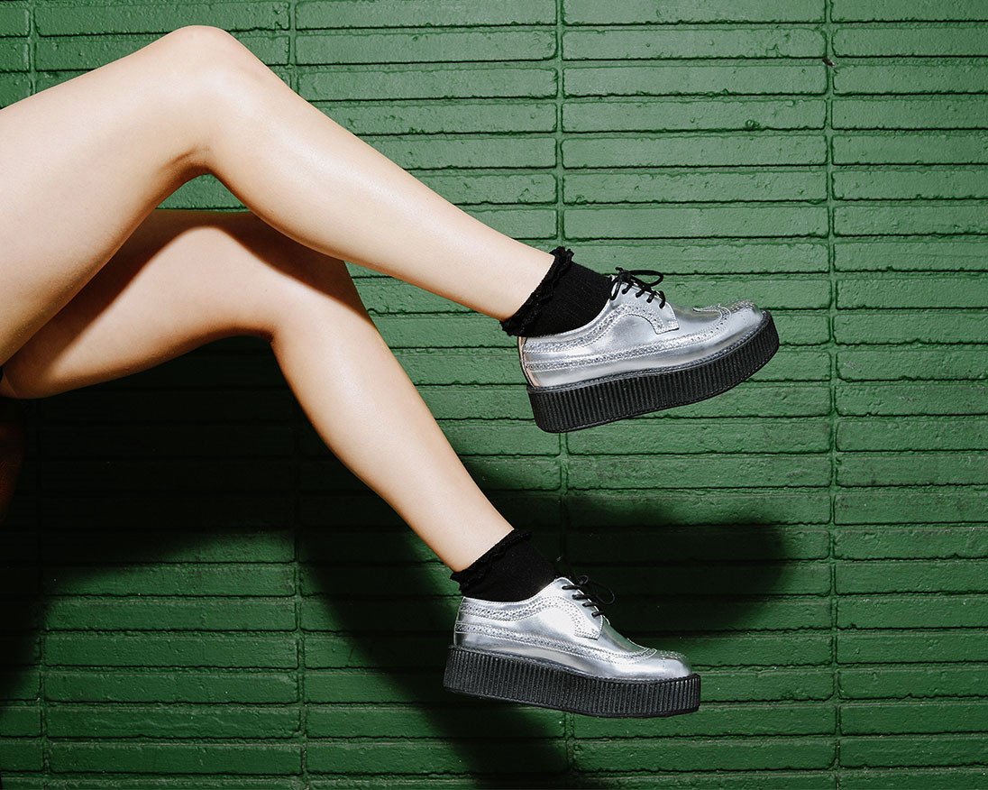 Silver Wingtip Creeper