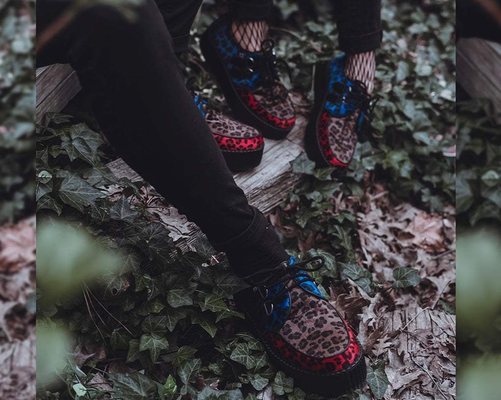 Tri-color Leopard Viva Mondo Creeper