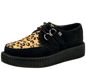 Leopard Creepers
