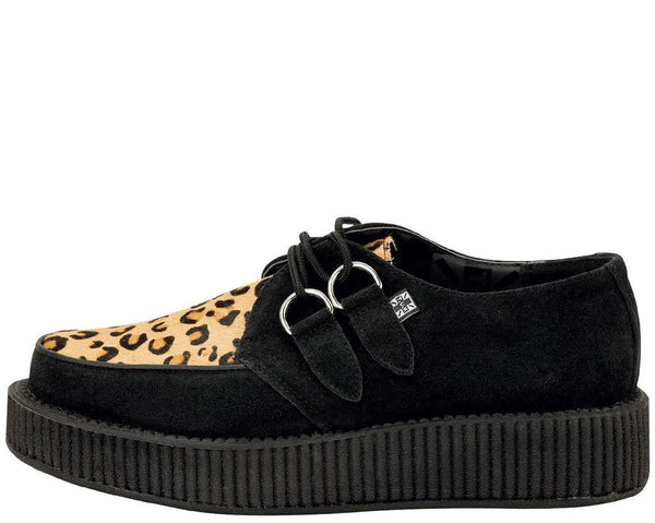 Leopard Creepers