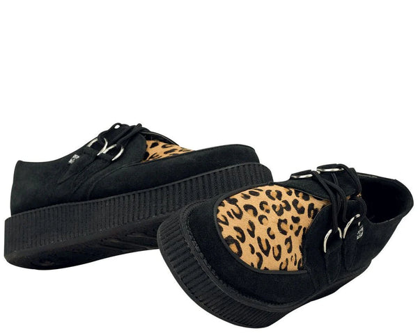 Leopard Creepers