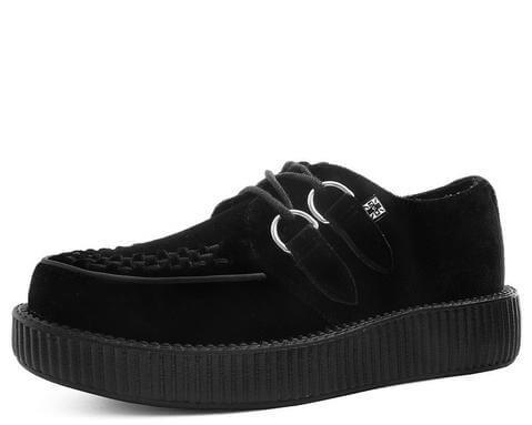 Black Velvet Creeper 