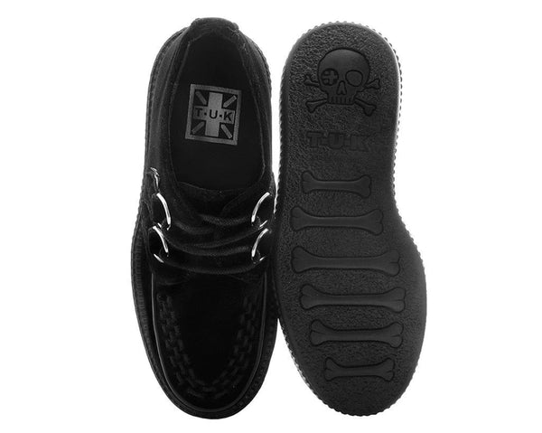 Black Velvet Creeper 