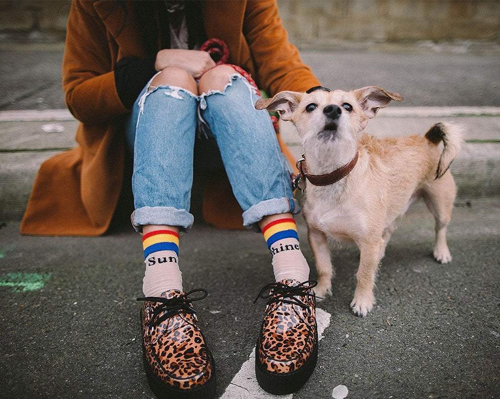 Leopard Patent Viva Mondo Creeper